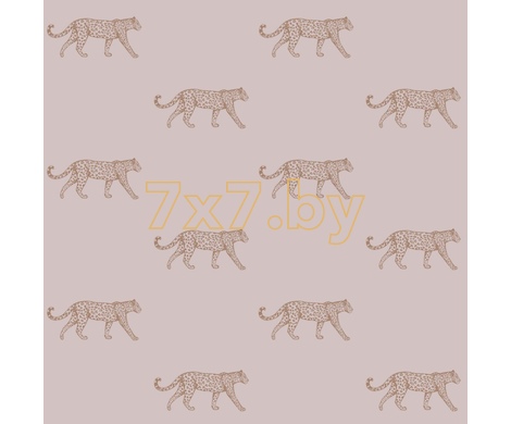City Chic 347729